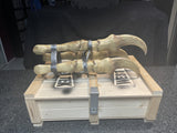 Deathclaw Gauntlet